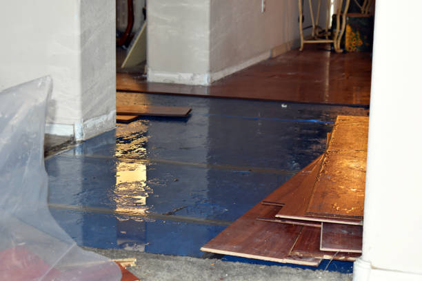 Professional Sewage Cleanup technician working in Little Hocking, OH